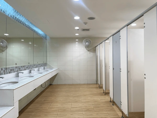 Toilet repair Macomb MI